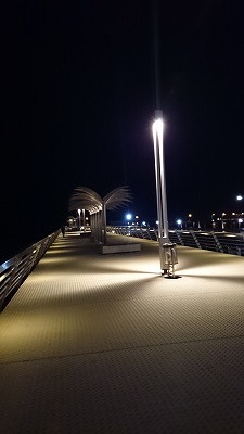 a5