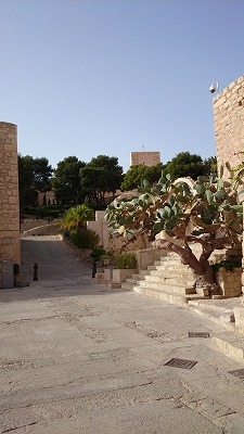 a13