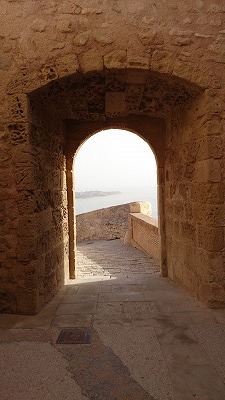 a19