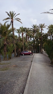 e1