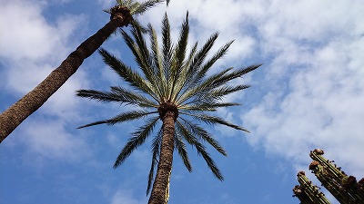 e26