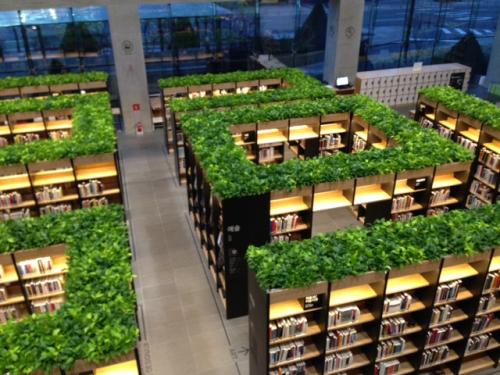 図書館