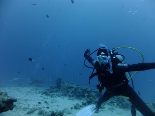 海を飛ぶように