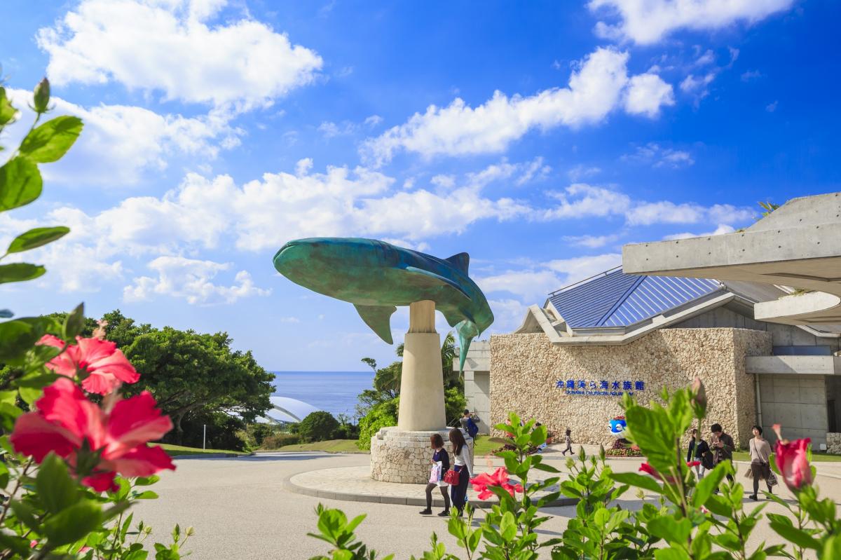 沖縄美ら海水族館（国営沖縄記念公園(海洋博公園)）-入り口にあるジンベエザメの銅像前は人気の撮影スポット