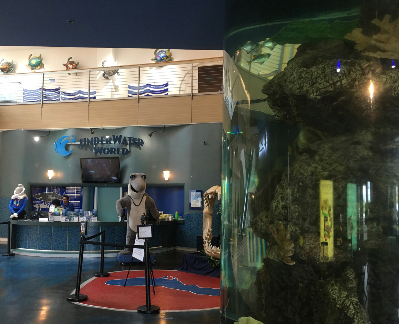 写真：水族館入口