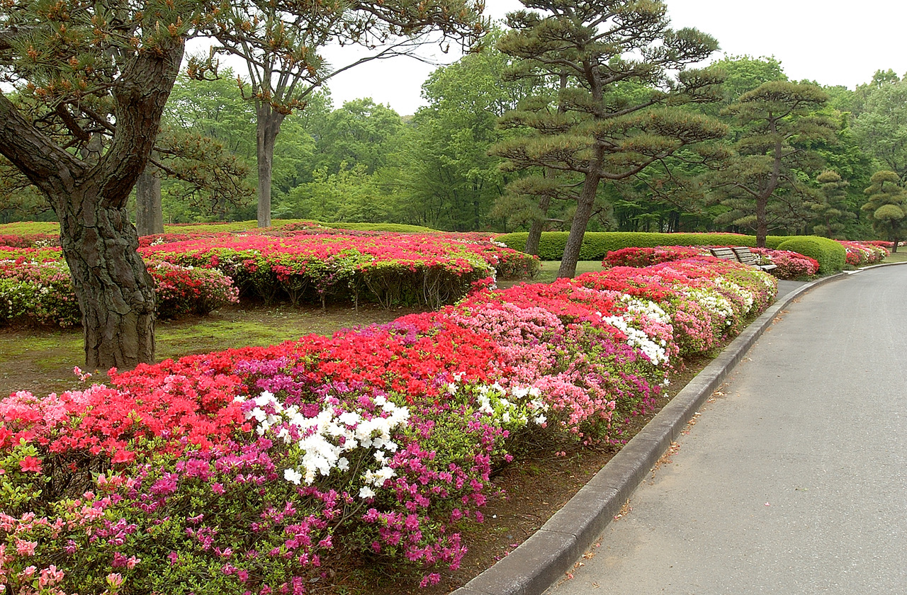 四季の花々が楽しめる皇居東御苑