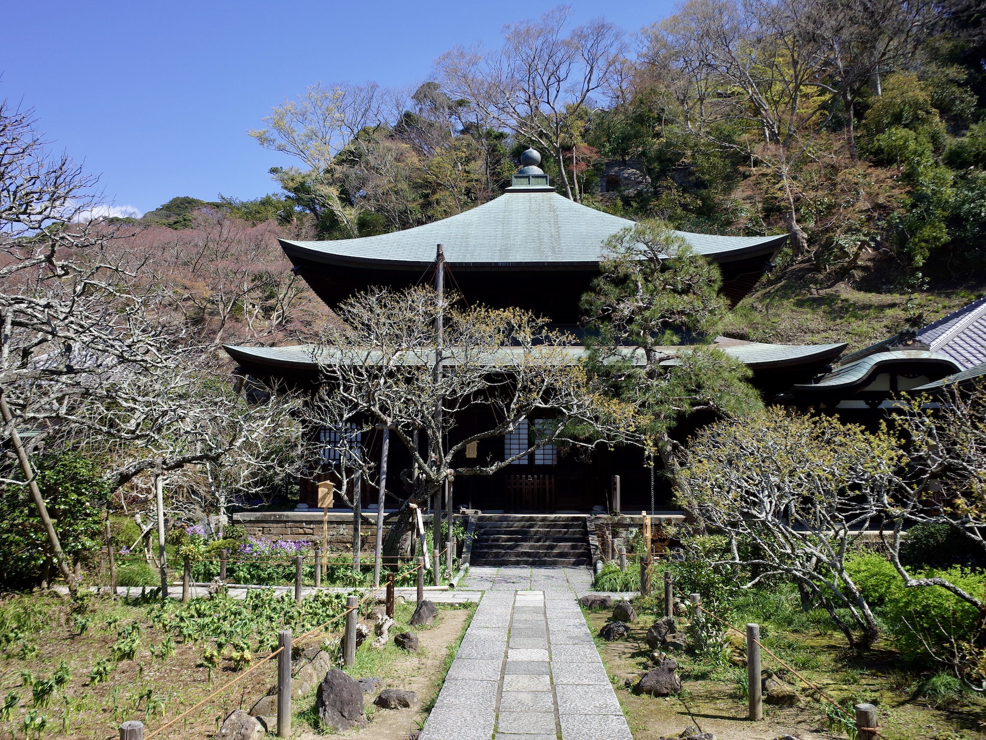 本堂と庭の配置の妙がこの寺のしっとりとした美しさを醸しだす