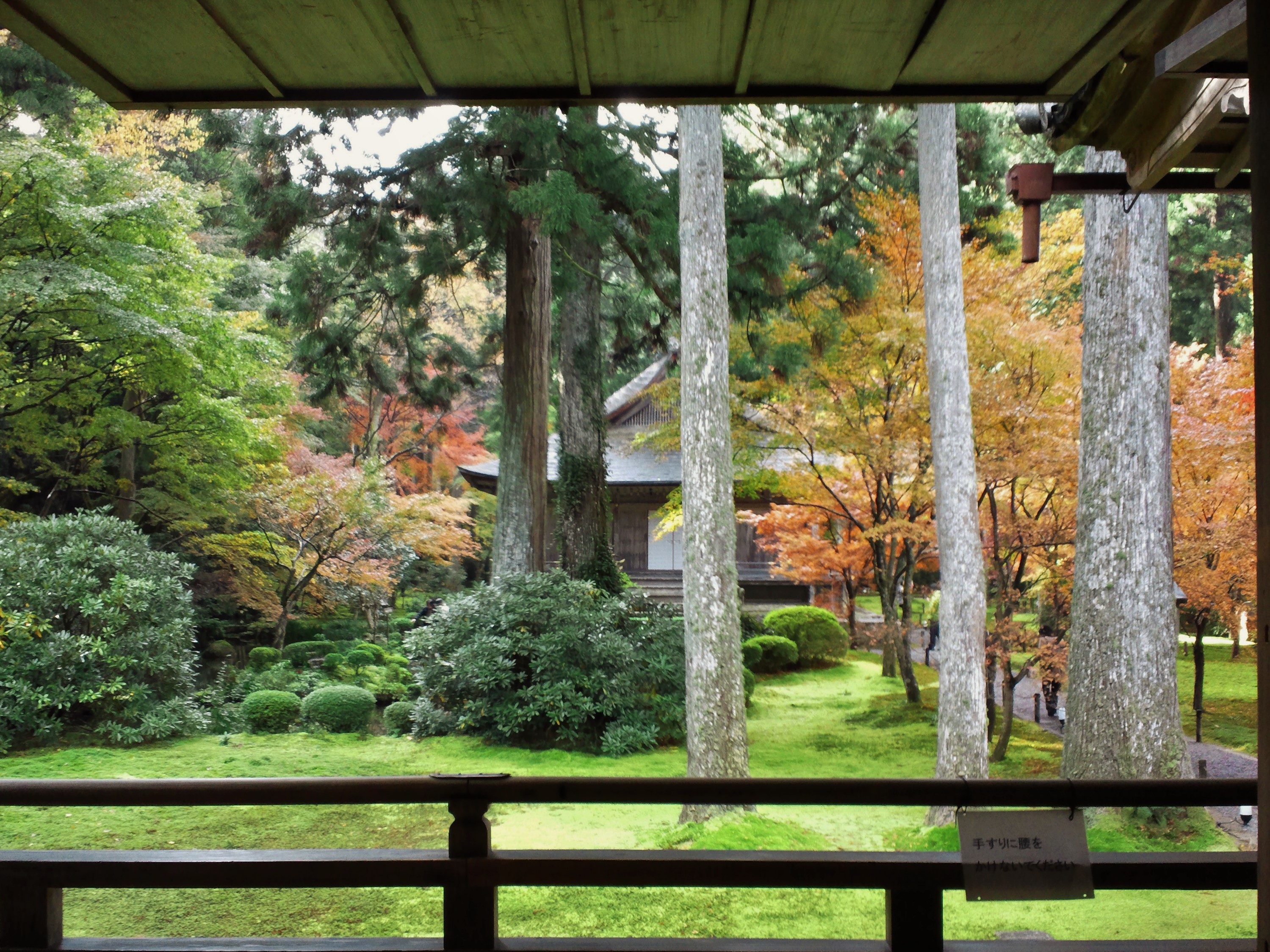 木々と苔が美しい有清園に建つ往生極楽院