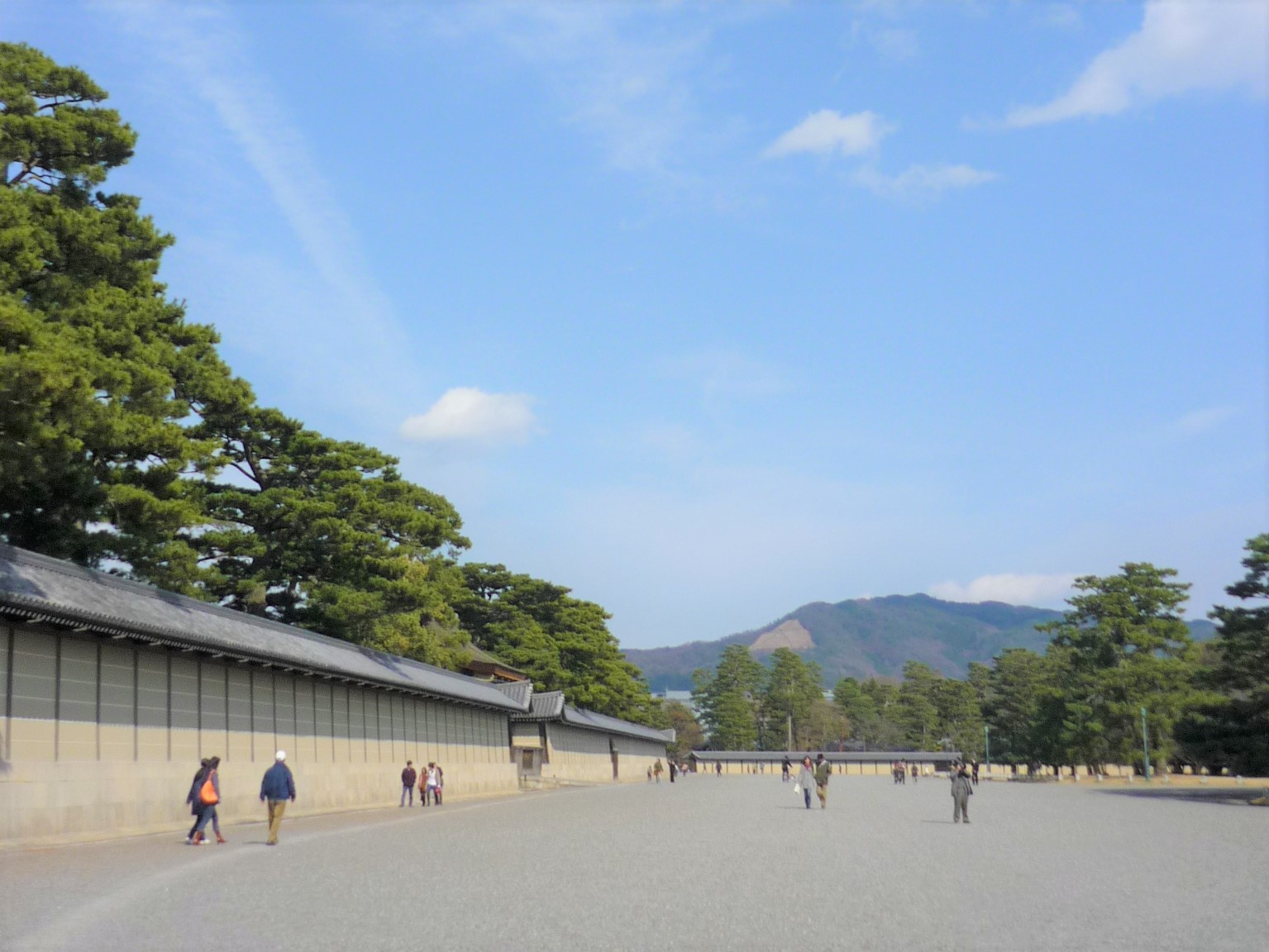 一部の建物を除き、いつでも自由に散策できる京都御苑