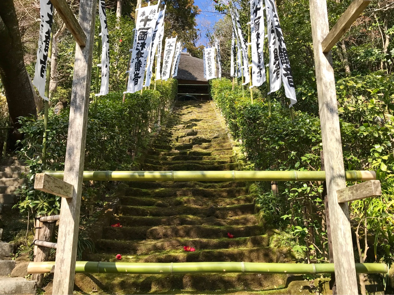 苔むした階段は立ち入り禁止