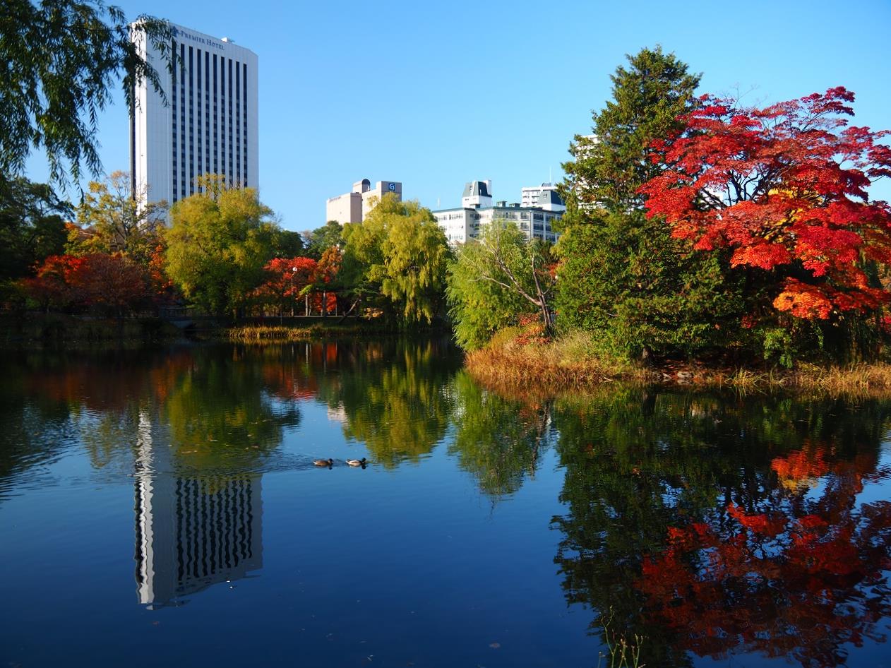 紅葉の時期が特におすすめ！