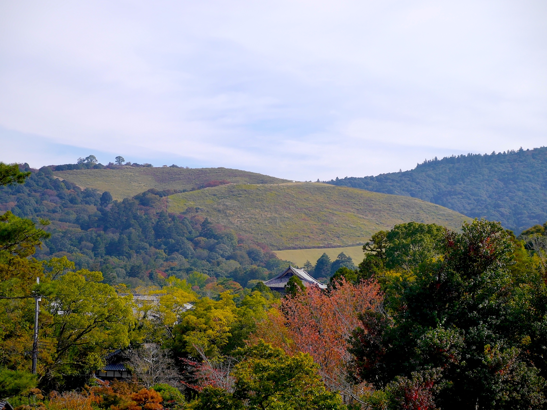 芝生で覆われた姿で際立つ若草山