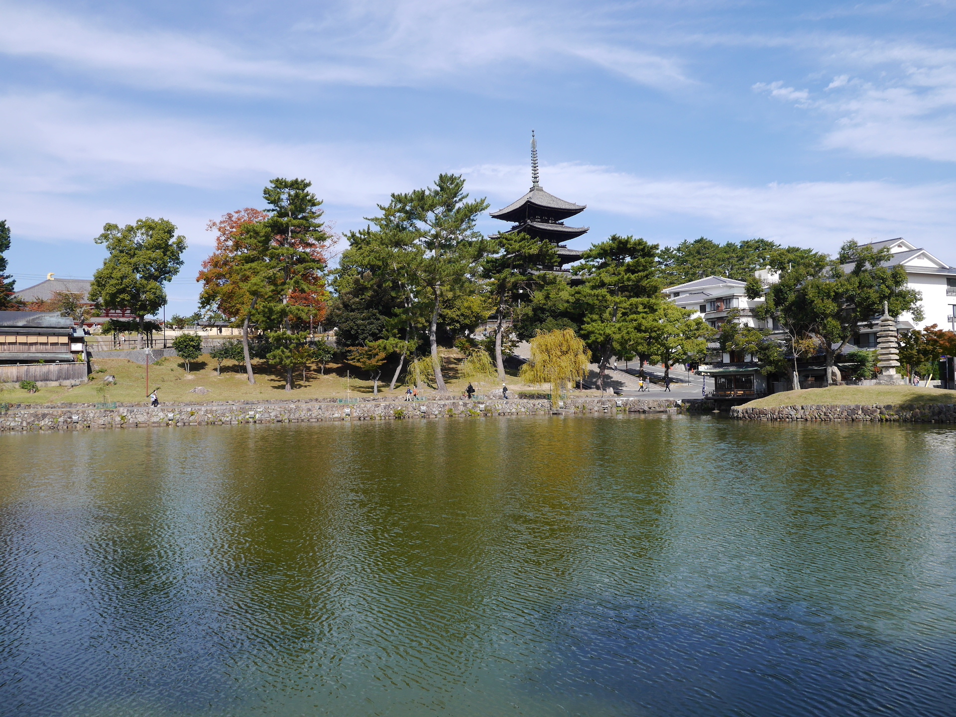 興福寺五重塔との風景は奈良を代表する景観