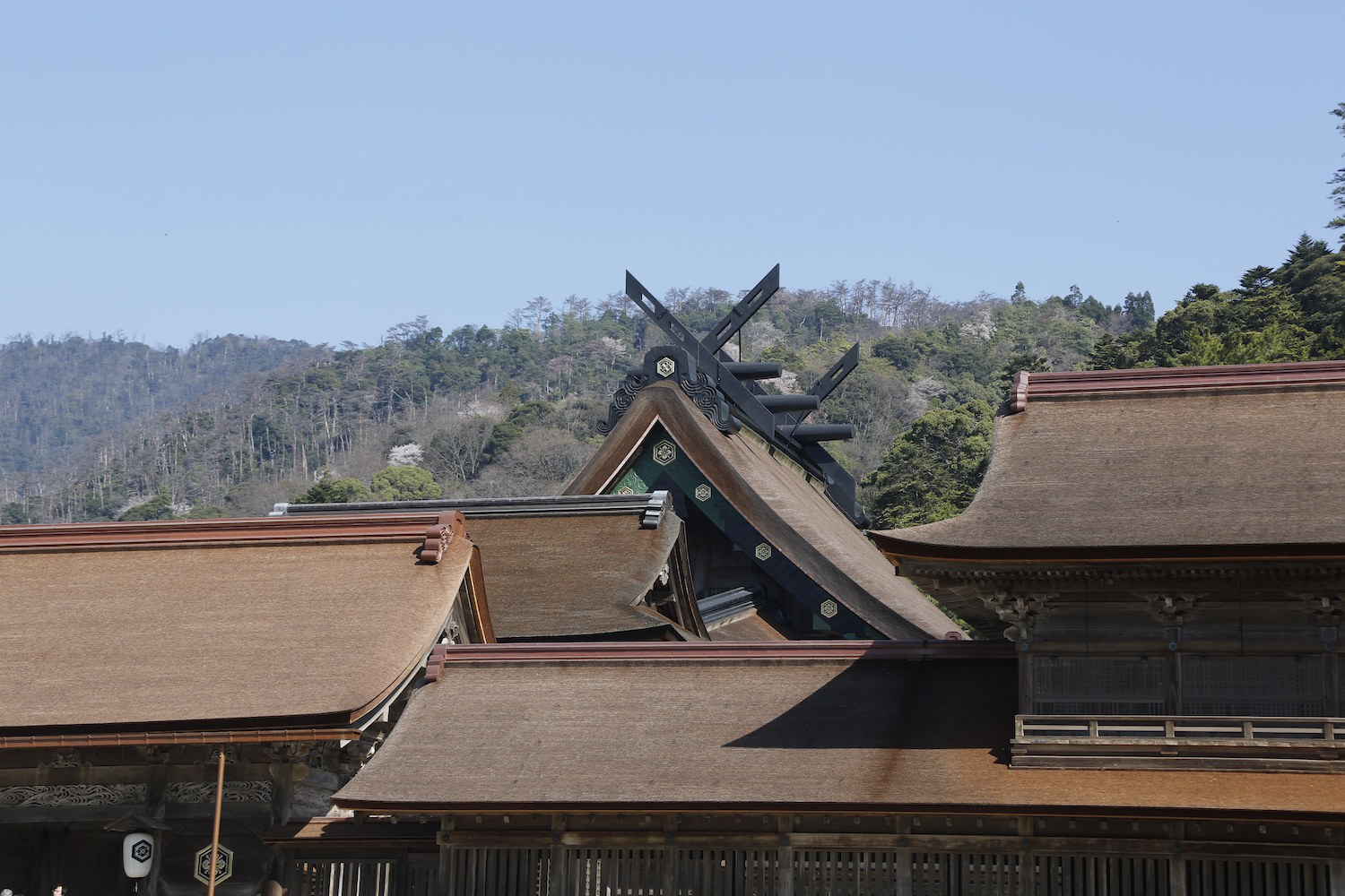 厳かに建つ、国宝にも指定される本殿