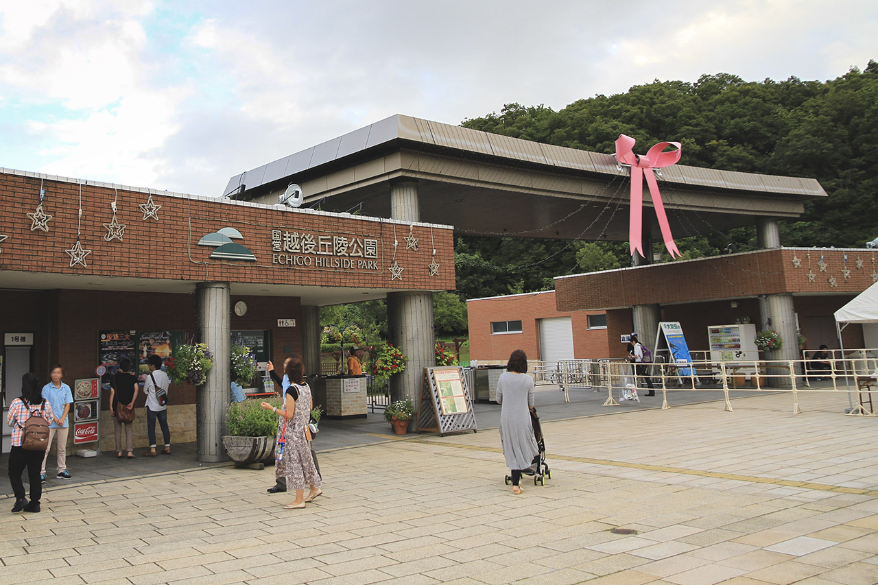 豊富な遊具と季節の花々が美しい国営越後丘陵公園