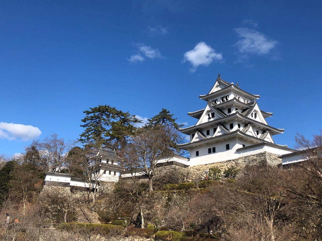 紅葉の時期はライトアップされます