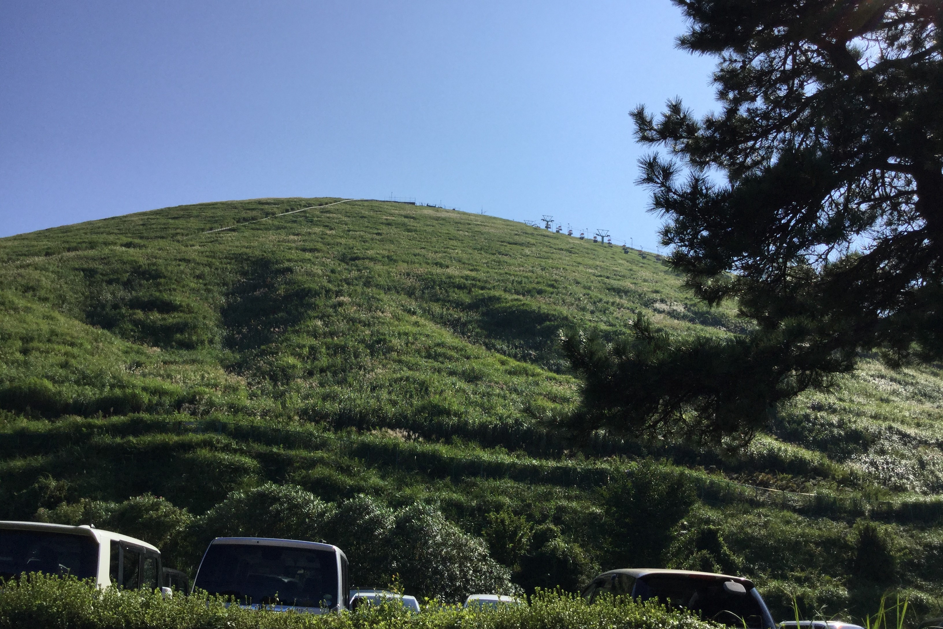 緑に包まれ、かわいらしいビジュアルが特徴的な大室山♪