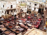 タンネリ/イメージ