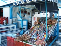 取れたての魚を海沿いの屋台で/イメージ