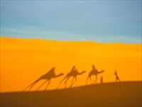 サハラ砂漠／イメージ