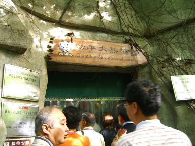 子パンダの小屋