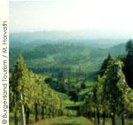 オーストリアワイン1