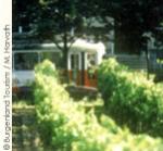 オーストリアワイン2