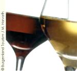 オーストリアワイン3