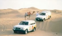 砂漠サファリの様子