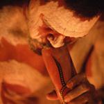 フレイムズ・オブ・ザ・フォレスト