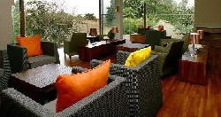 デパーチャー・ラウンジ1