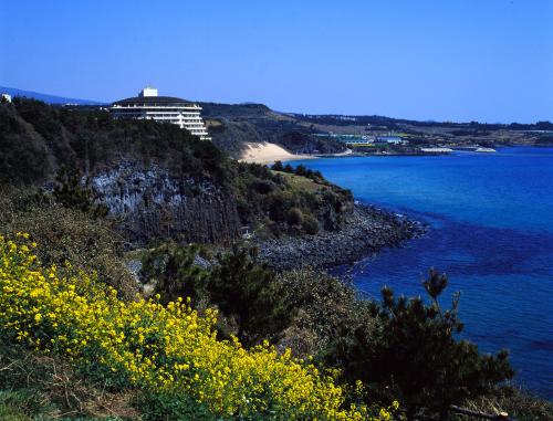 済州島 海