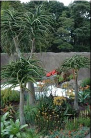 エラズリー・フラワーショー1