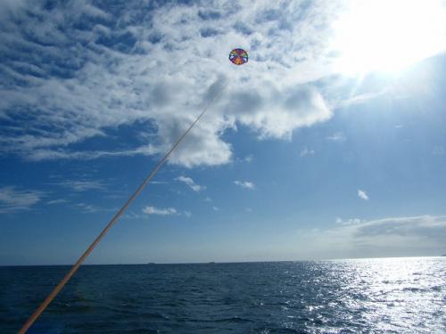 パラセーリング