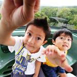 ケアンズ世界遺産写真コンテスト