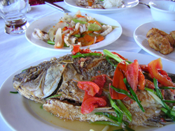 ハロン湾をゆったり満喫！６時間クルー