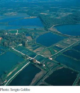 ニュスコ・ポリェ自然公園