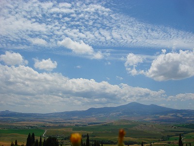 ローマナビネット