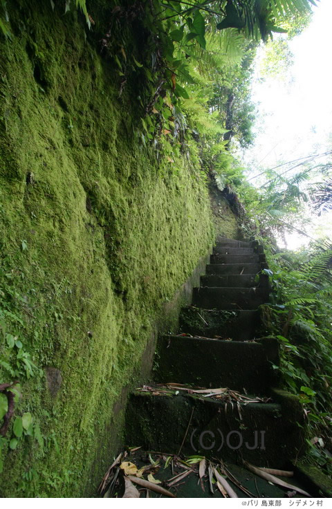 @バリ島東部　シデメン村