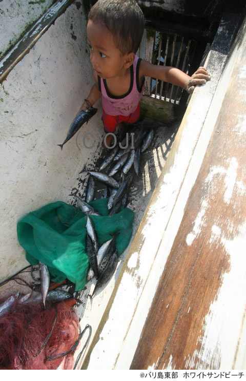 @バリ島東部　白砂海岸