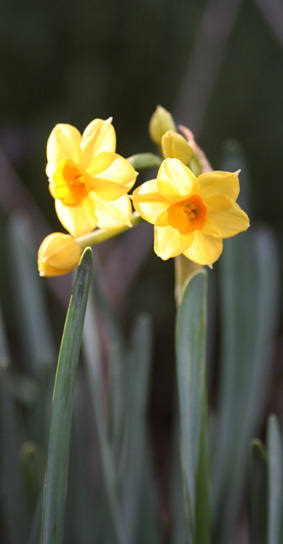 Ｐ６９-０８０Ｆ