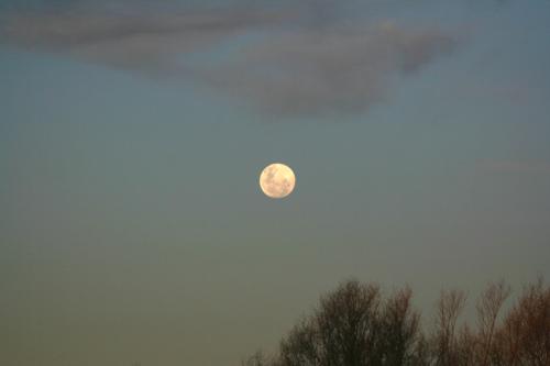 Ｐ７０-００４Ｆ