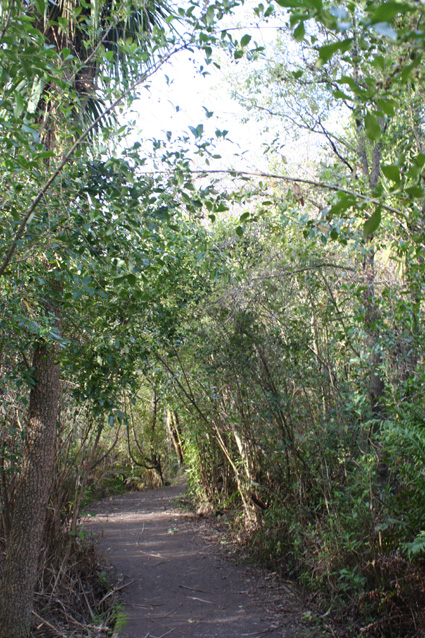 Ｐ７０-０６２Ｆ