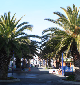 Ｐ７０-１０４Ｆ