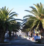 Ｐ７０-１０４Ｆ