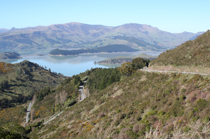 Ｐ７１-０１４Ｆ