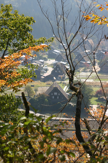 【紅葉】色鮮やかな空間につつまれる癒し旅