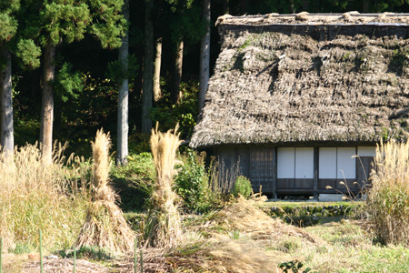 【紅葉】色鮮やかな空間につつまれる癒し旅