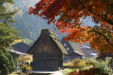 【紅葉】色鮮やかな空間につつまれる癒し旅