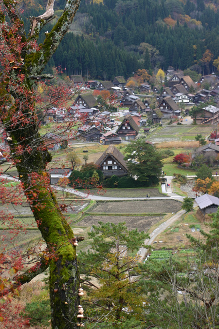 雪と紅葉が競演〜世界遺産 白川郷合掌集落